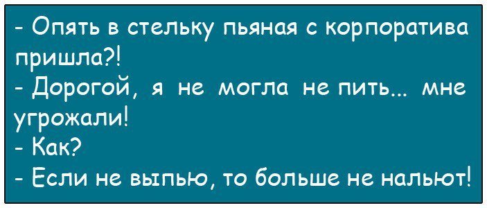 Анекдоты дня