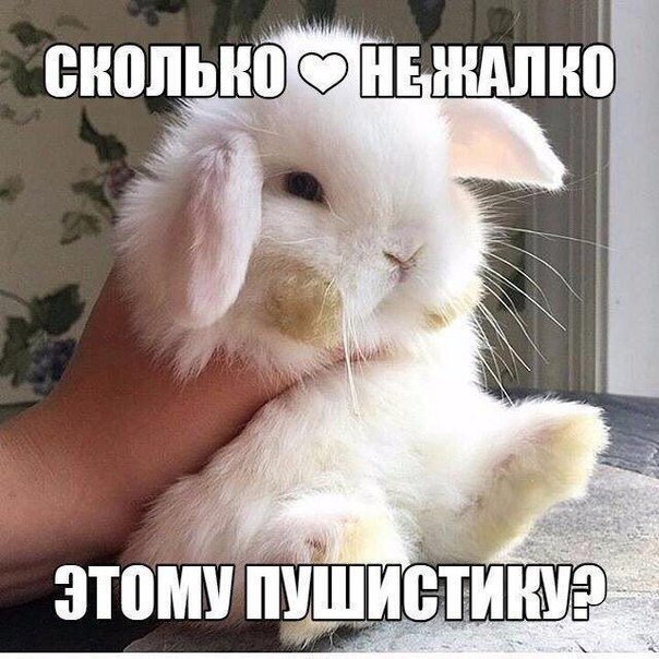 Хорошие анекдоты