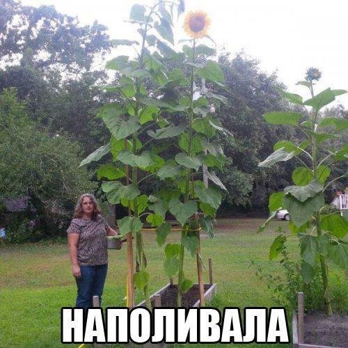 Анекдоты