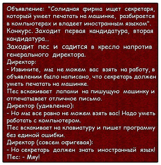 Анекдоты дня