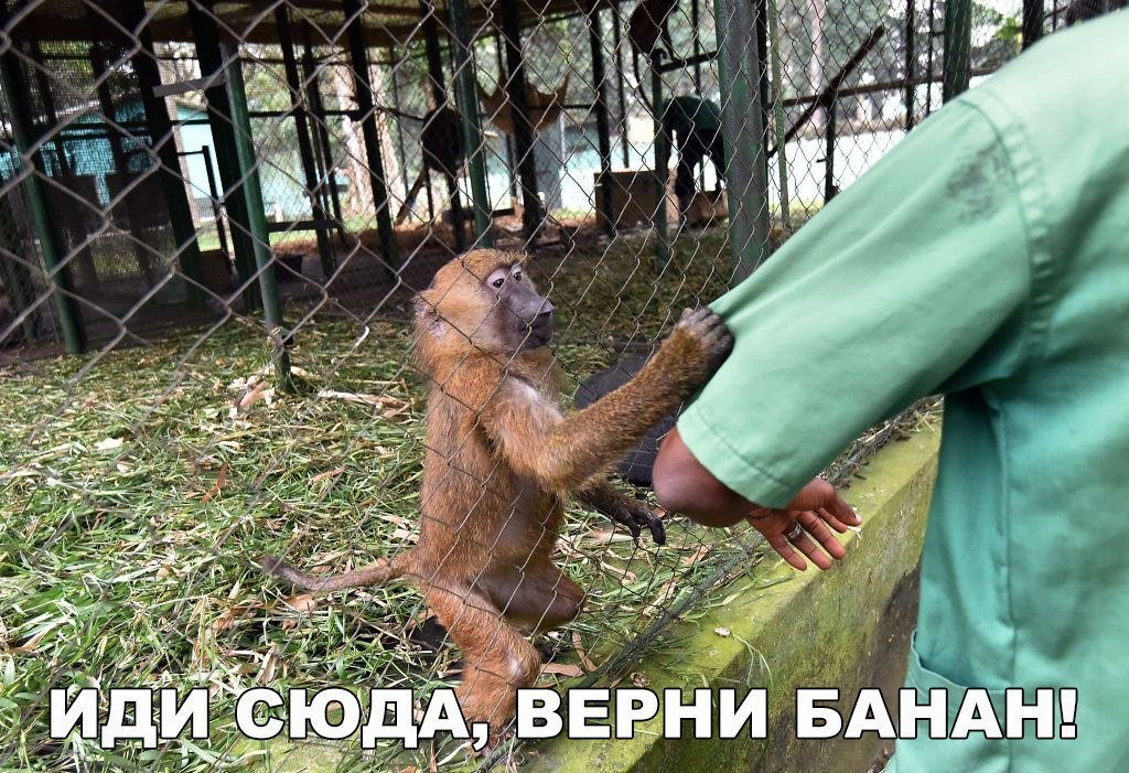 Хорошие анекдоты