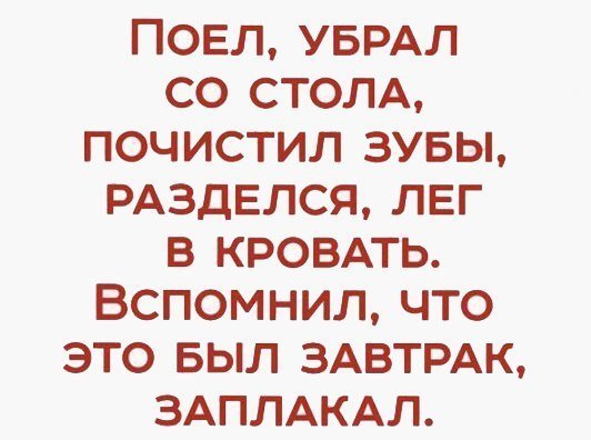 Анекдоты дня