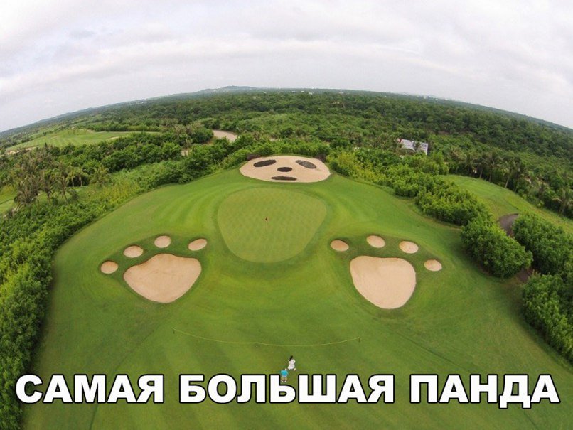 Анекдоты