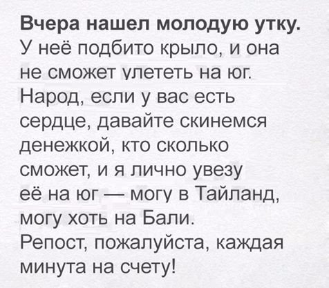 Анекдоты