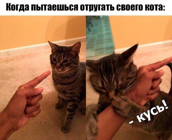 Хороший юмор