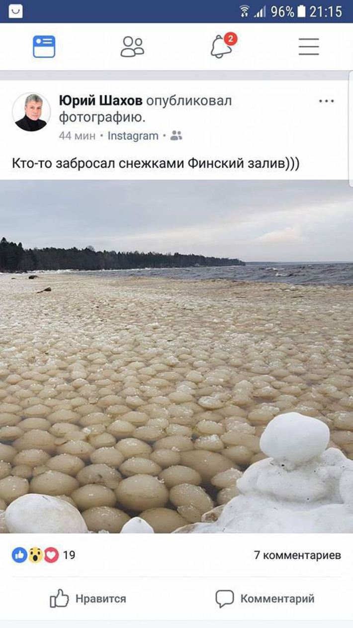 Отгадаете, что это за шарики?
