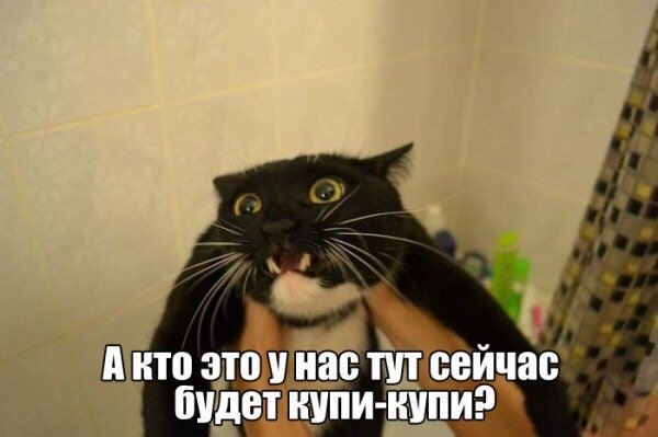 Анекдоты
