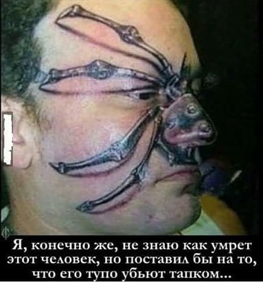 Анекдоты дня