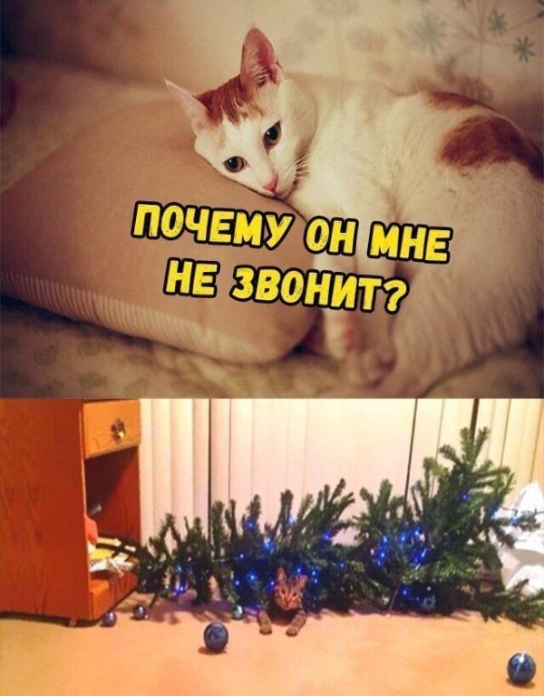 Анекдоты