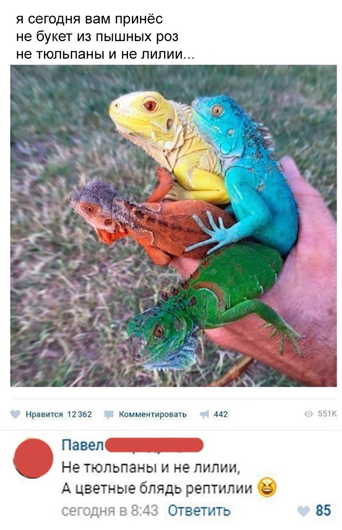 Анекдоты