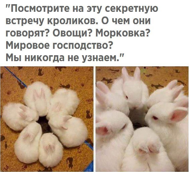 Анекдоты