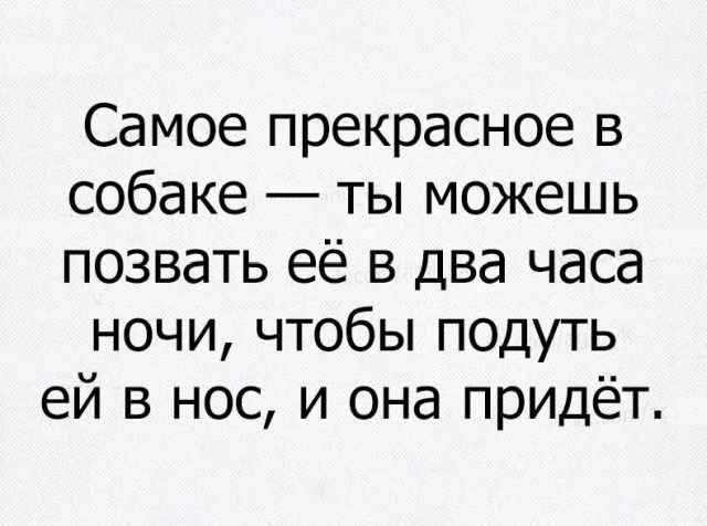 Анекдоты