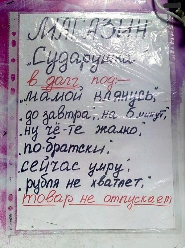 Анекдоты дня