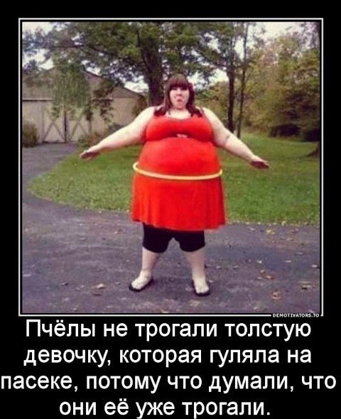 Анекдоты