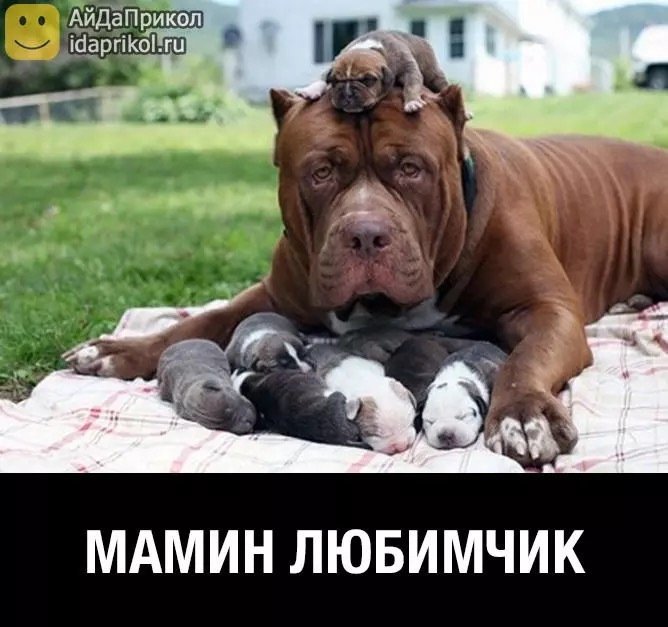 Отличные анекдоты