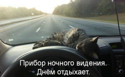 Отличные анекдоты