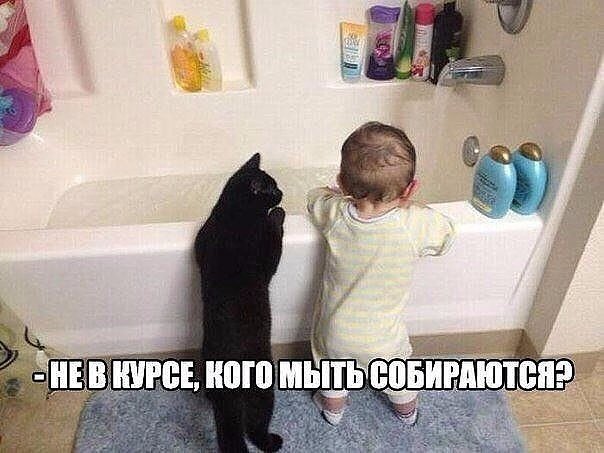 Крутой юмор