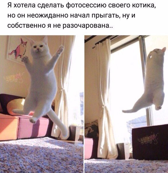 Анекдоты