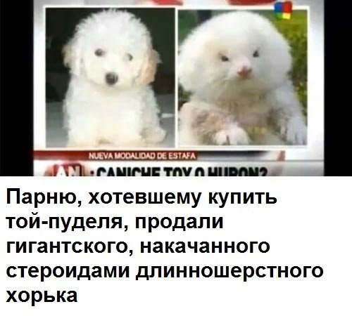 Анекдоты