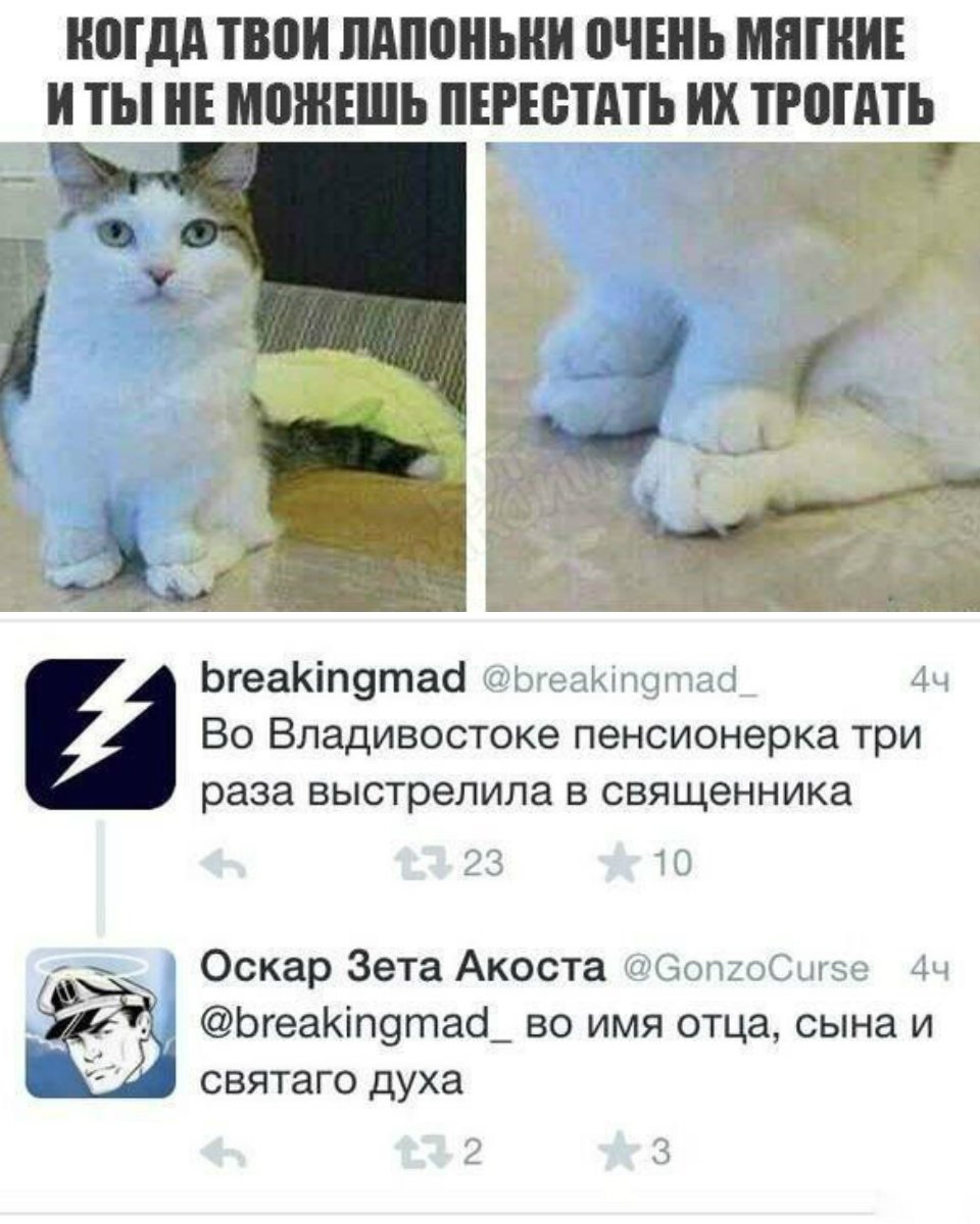 Анекдот про любопытного посетителя