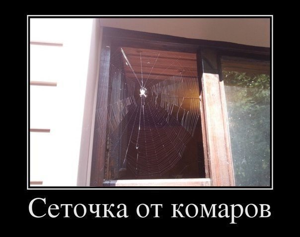 Смешной анекдот про будущего зятя