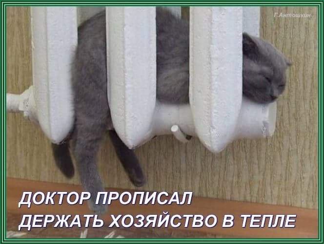 Крутой анекдоты про ученого