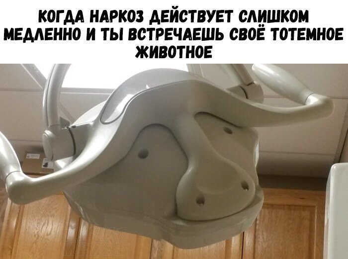 Анекдоты дня