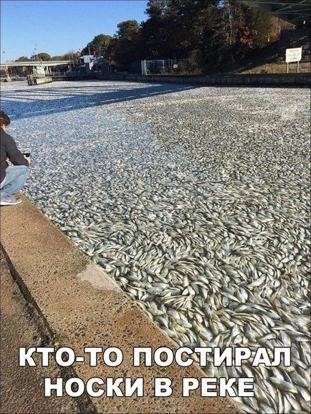Анекдоты