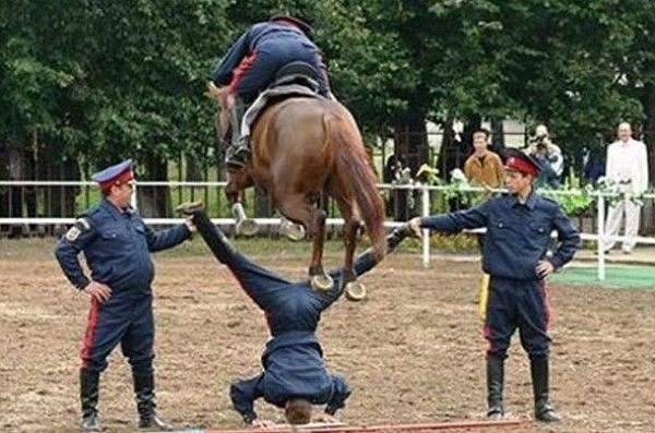 Порция отменного юмора
