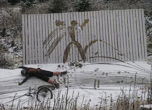 Смешные анекдоты