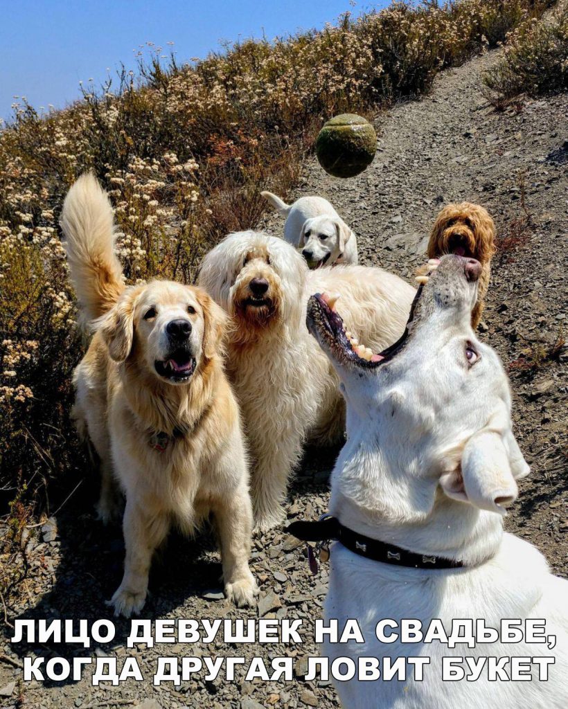 Анекдоты