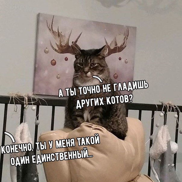 Анекдоты