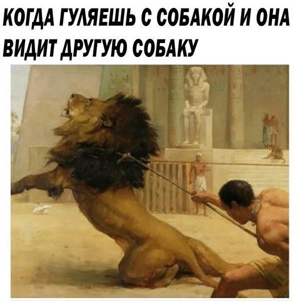 Анекдоты
