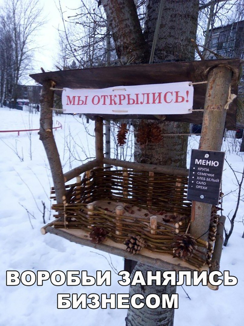 Анекдоты