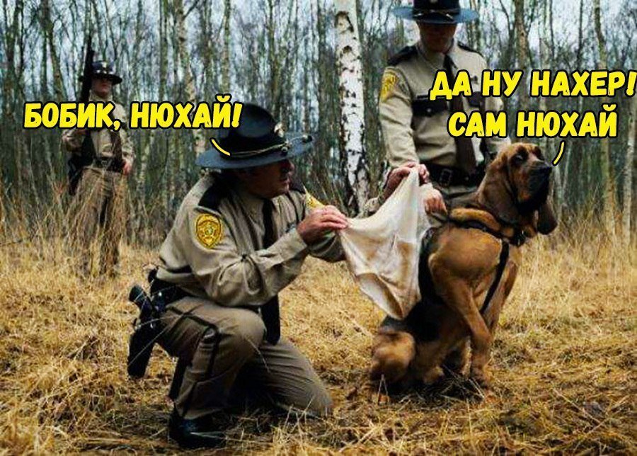 Хорошие анекдоты