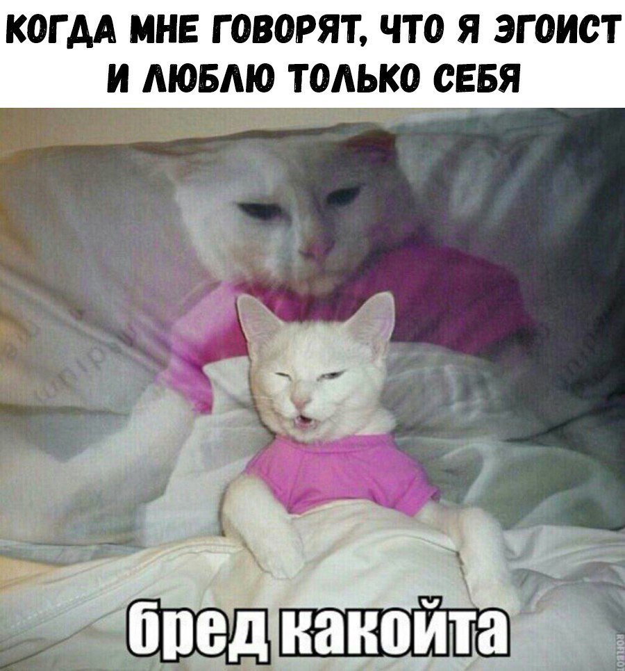 Хорошие анекдоты