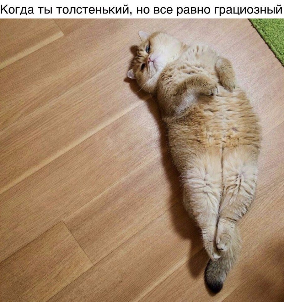 Смешные анекдоты