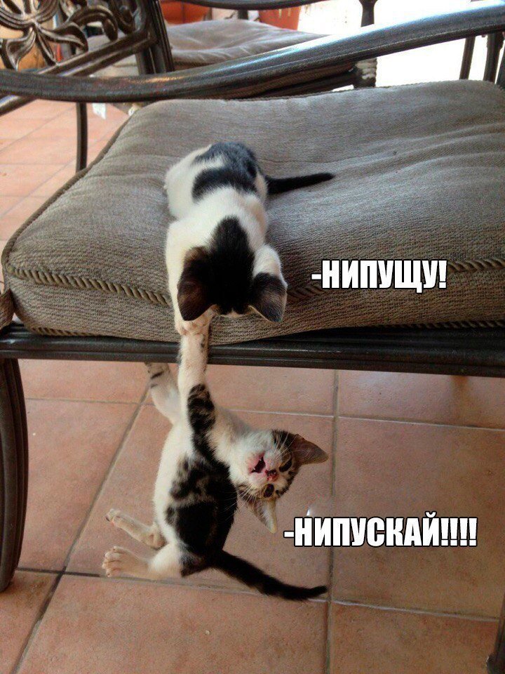 Анекдоты