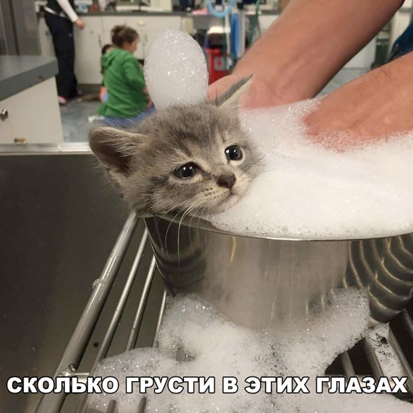 Анекдоты