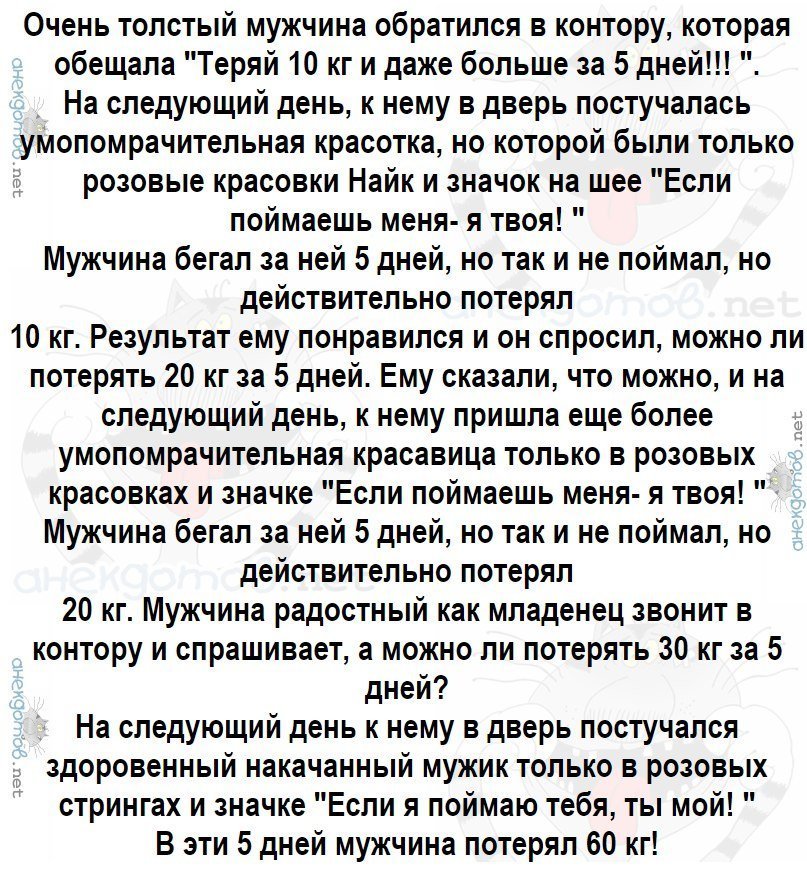 Анекдоты дня