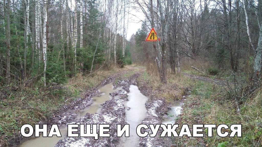 Анекдоты