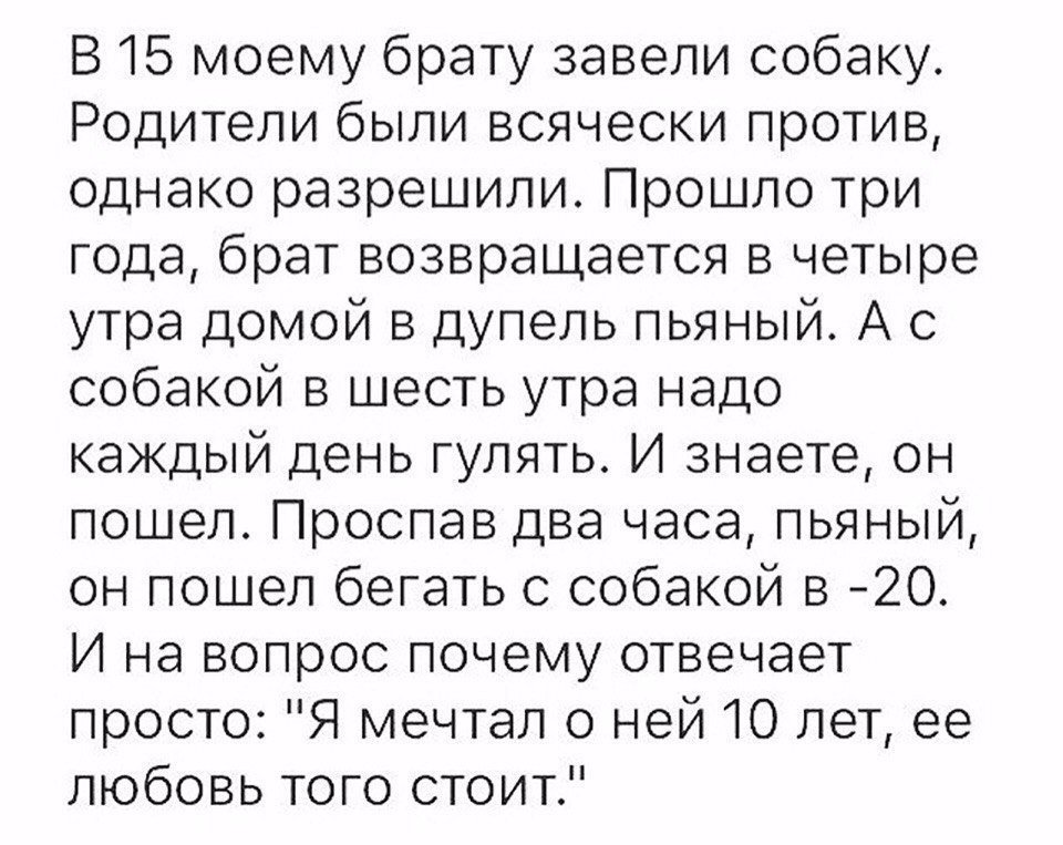 Анекдоты