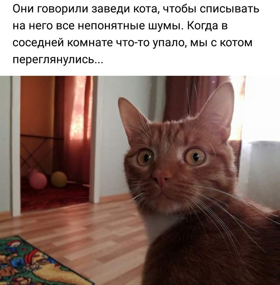 Смешной анекдот про ночную жизнь