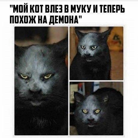 Анекдоты