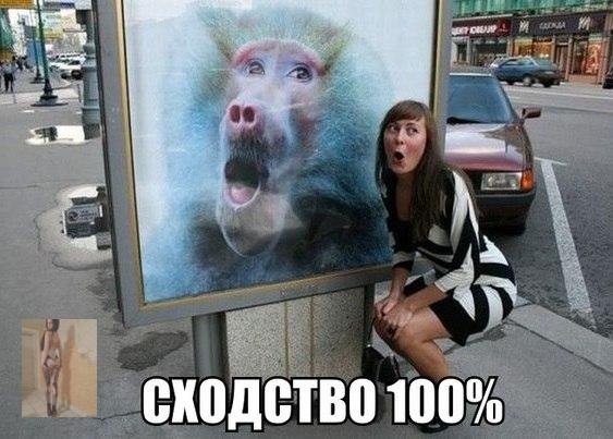 Смешные анекдоты