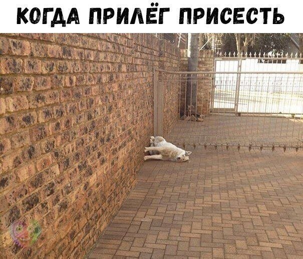 Хорошие анекдоты
