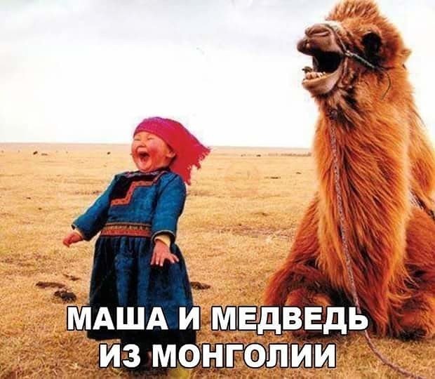 Порция отменного юмора