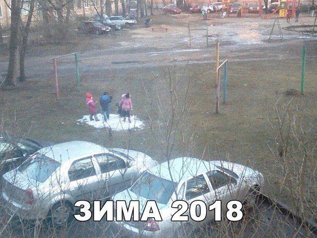 Анекдоты дня