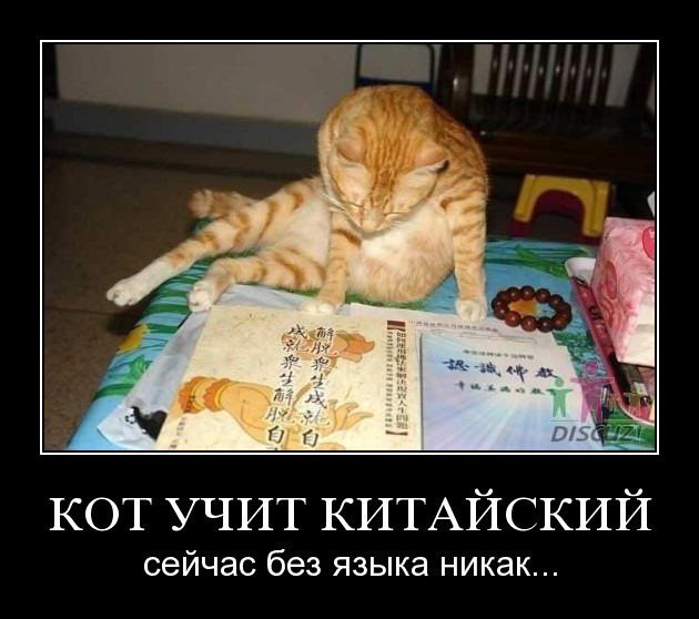 Анекдоты