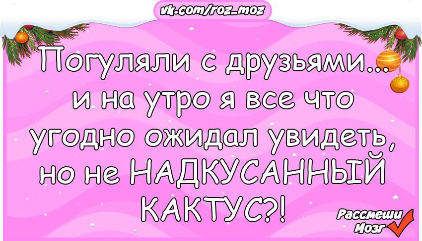 Анекдоты